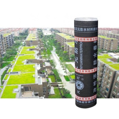 Green Roof Root Resistance Anti Root Puncture Sbs Waterproofing Membranes For Plant Roof