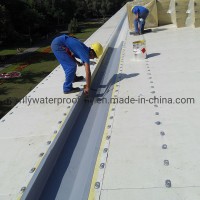 Different Thickness Basement Reinforced Polymer Tpo Waterproof Material Membrane for Roof and Pool