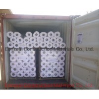 1.2 mm Thickness China Manufacturer HDPE Basement Waterproofing Membrane